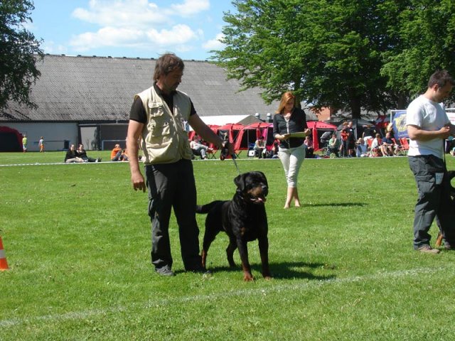 World Show 3