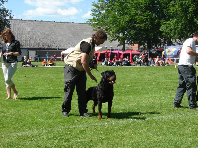 World Show 3