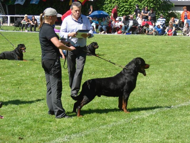 World Show 3