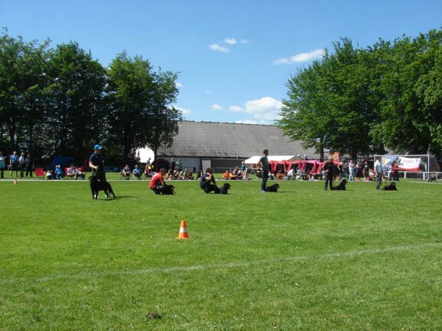 World Show 3
