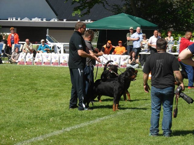 World Show 3