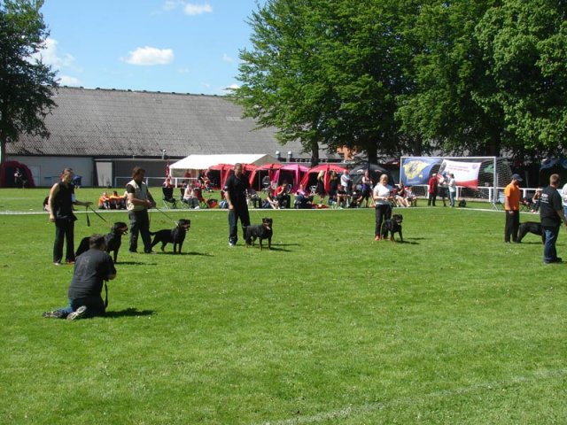 World Show 3