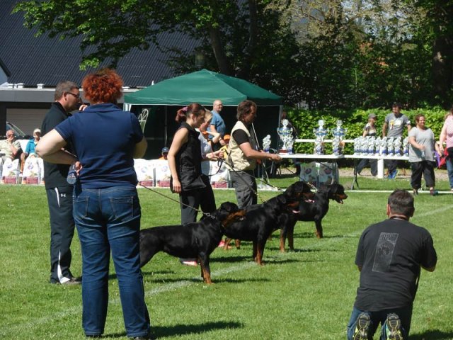 World Show 3