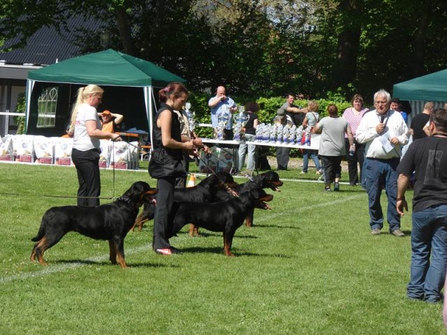 World Show 3