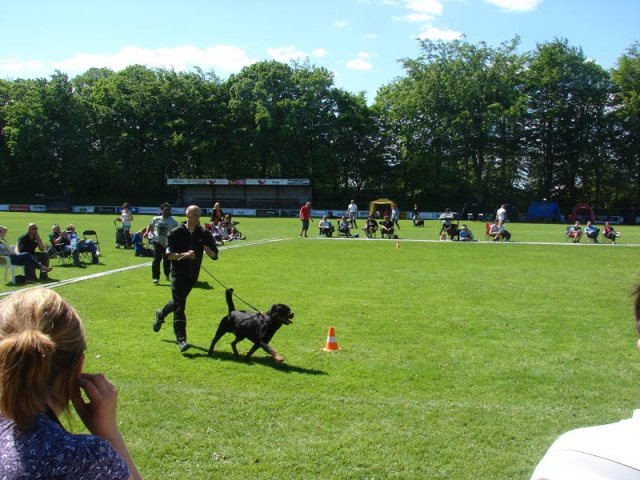 World Show 3