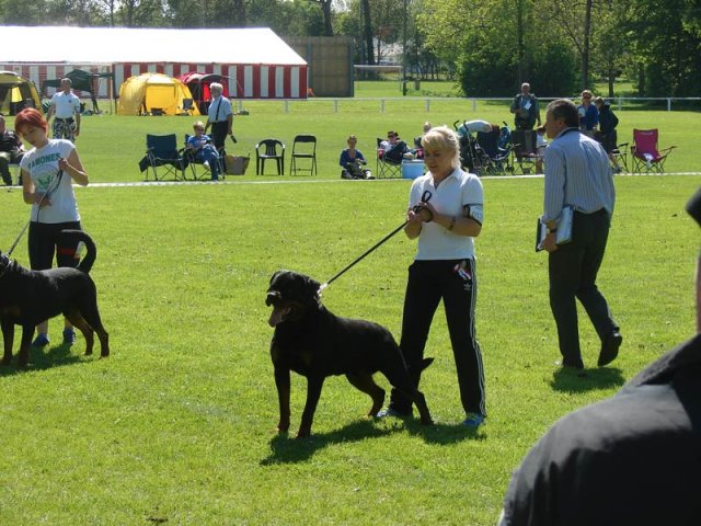 World Show 3