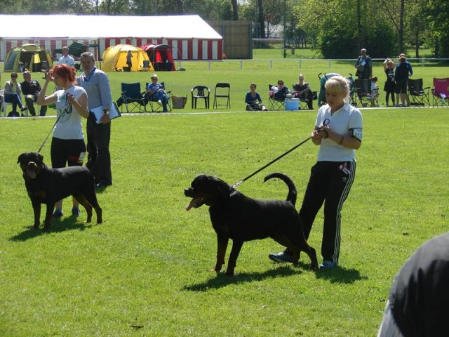 World Show 3