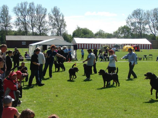 World Show 3