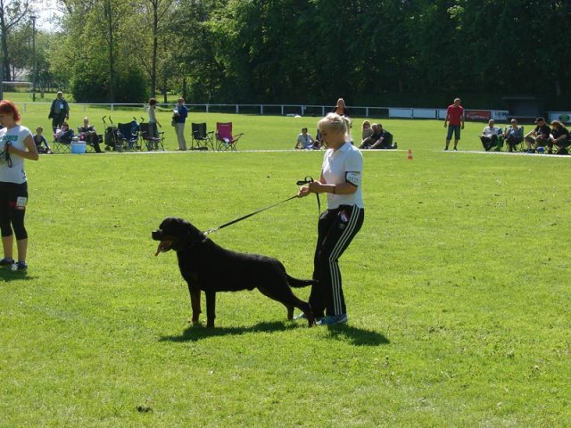 World Show 3