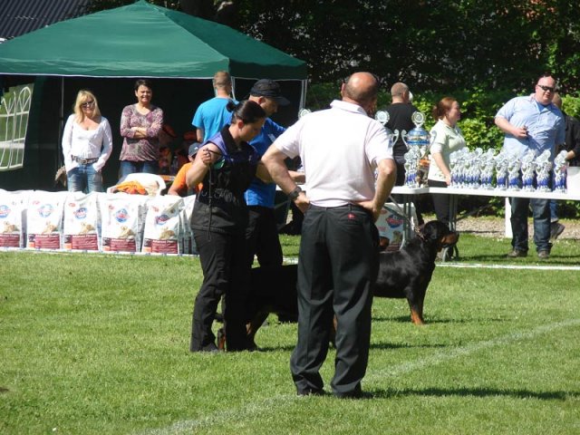 World Show 3