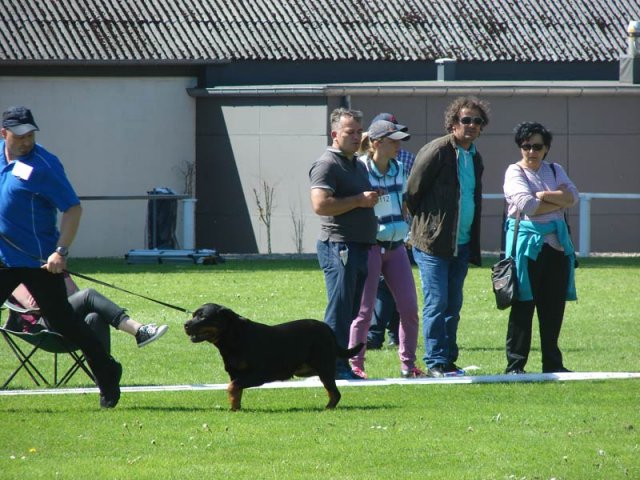 World Show 3