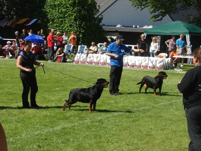 World Show 3