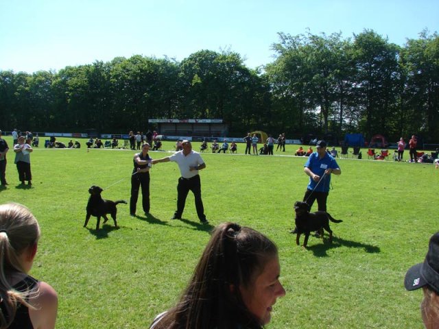 World Show 3