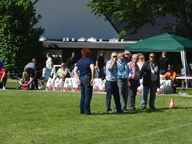 World Show 3