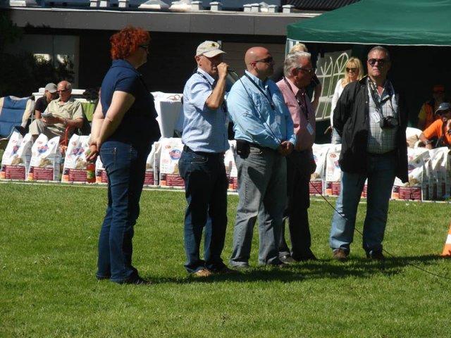 World Show 3