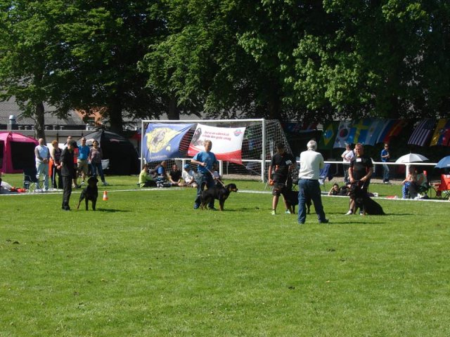 World Show 3