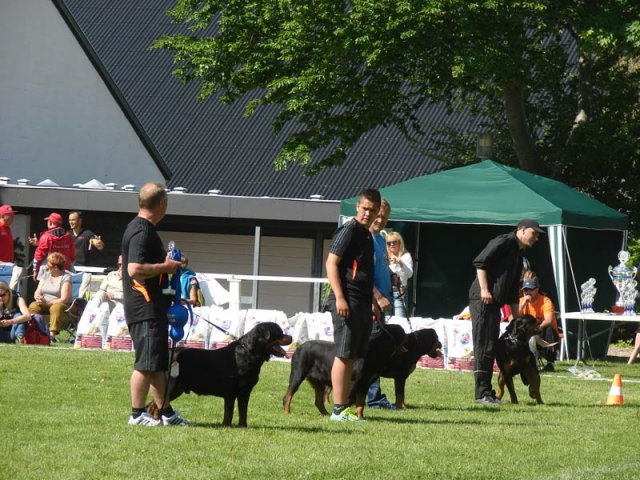 World Show 3