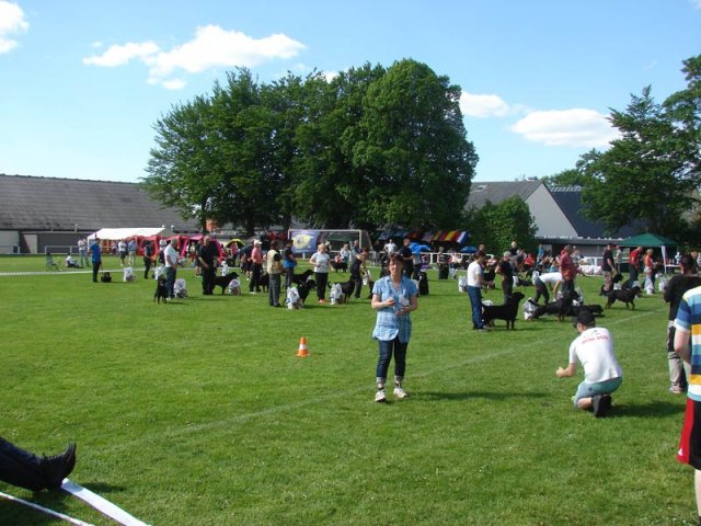 World Show 3