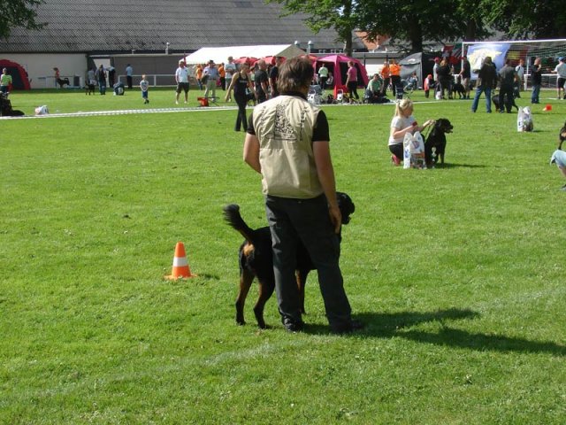 World Show 3