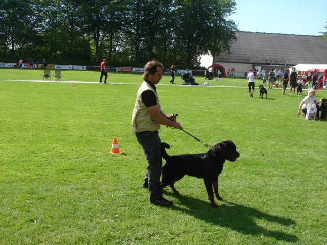 World Show 3