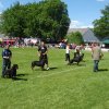 World Show 3