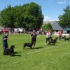 World Show 3