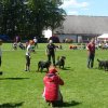 World Show 3