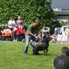 World Show 3