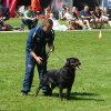 World Show 3