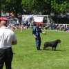 World Show 3
