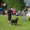 World Show 3