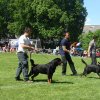 World Show 3