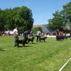 World Show 3