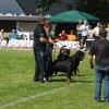 World Show 3