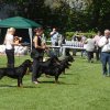 World Show 3