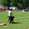 World Show 3