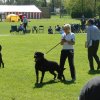 World Show 3