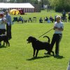 World Show 3