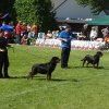 World Show 3
