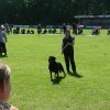World Show 3