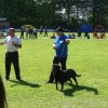 World Show 3