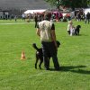 World Show 3
