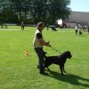 World Show 3