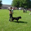 World Show 3
