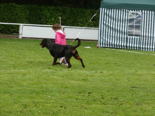 World Show 4