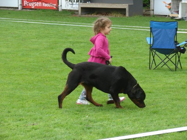 World Show 4
