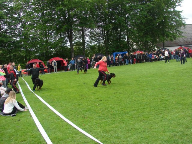 World Show 4