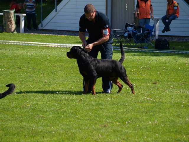 World Show 4