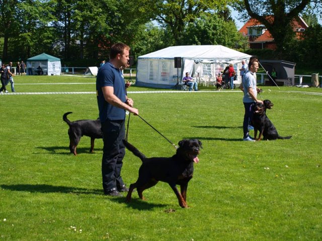 World Show 4