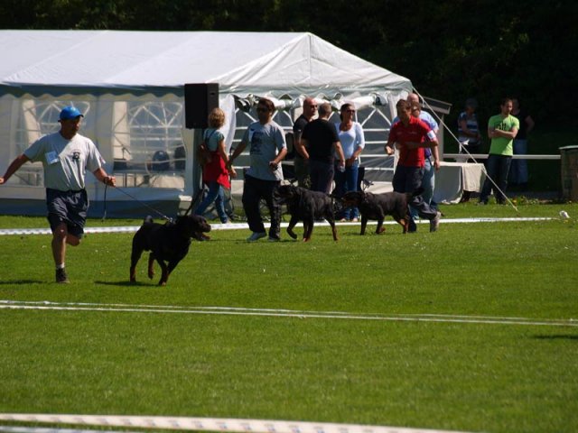 World Show 4